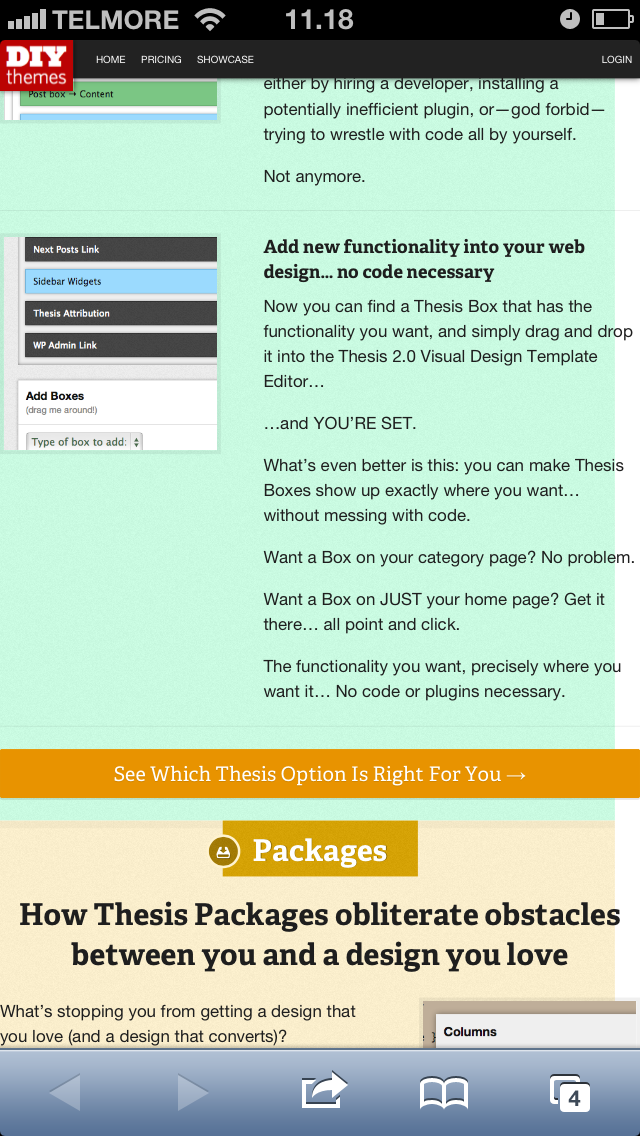 How to Update Thesis Skins