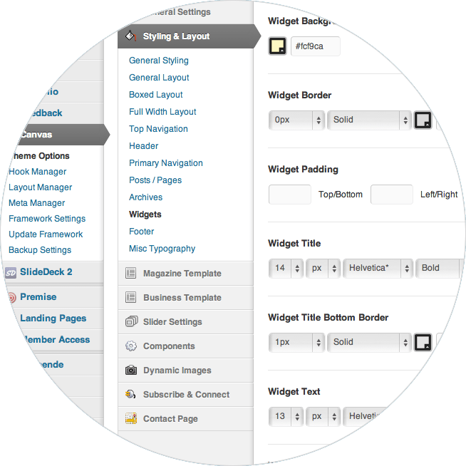 WooThemes Canvas WordPress theme - admin screenshot