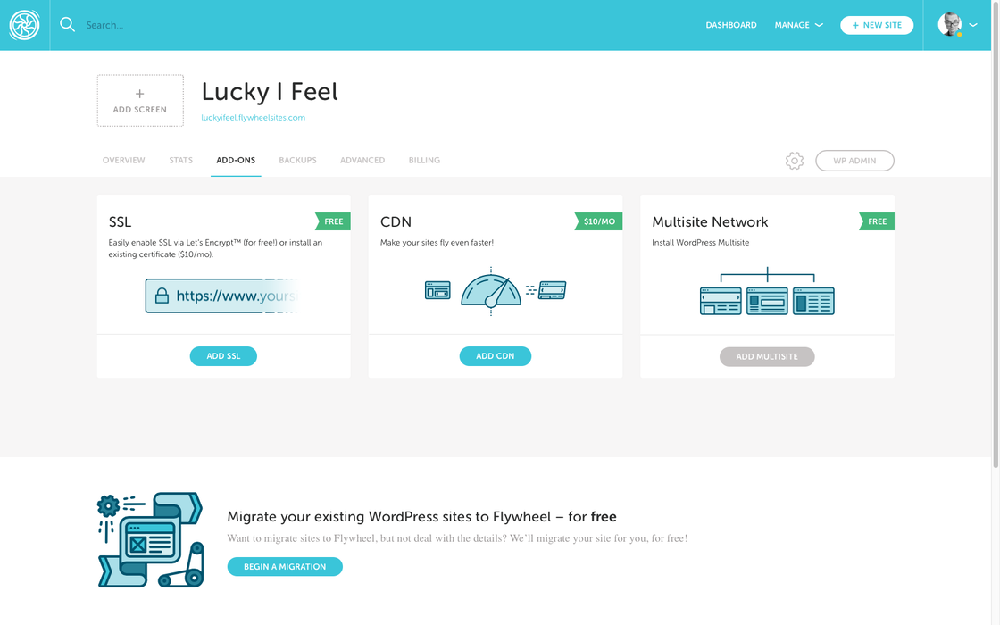 Flywheel WordPress hosting